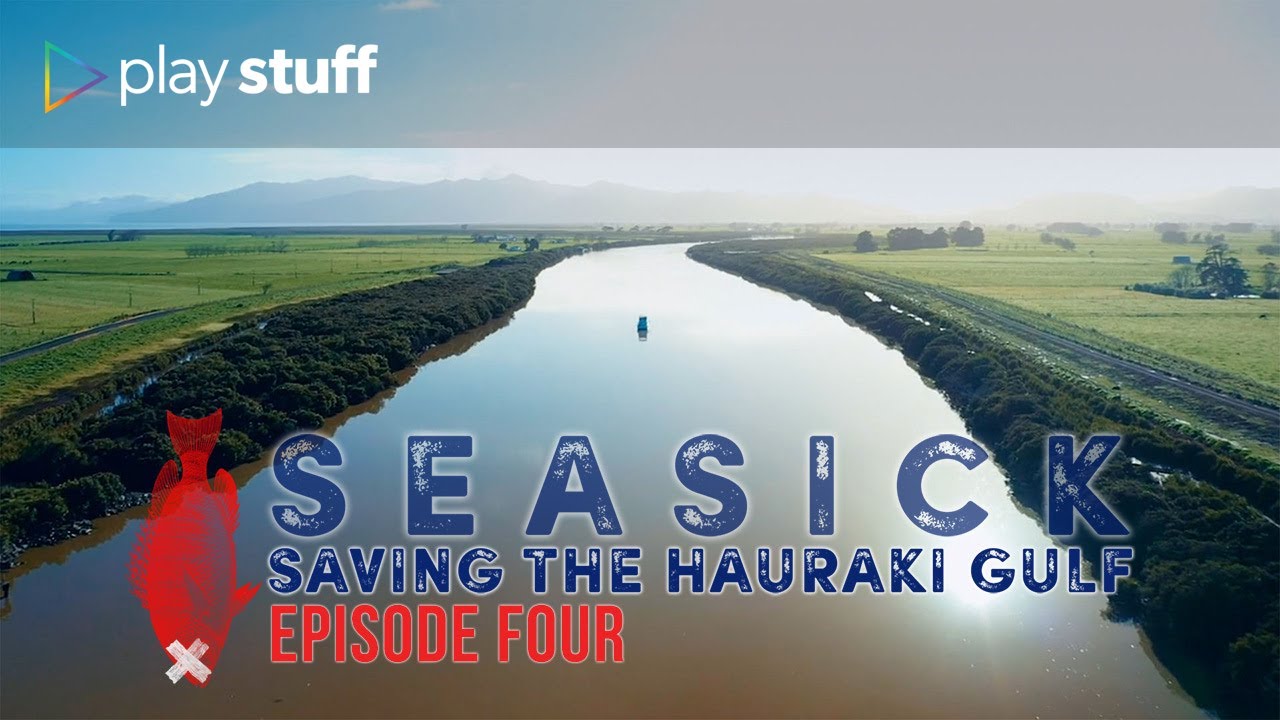 Seasick: Episode 4 - Pollution | Saving the Hauraki Gulf | Stuff.co.nz