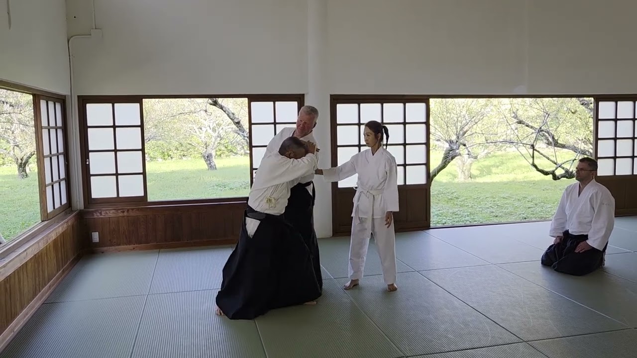 AIKIDO Training in Japan 2025 bei Shihan Shichirotani Sensei – 08