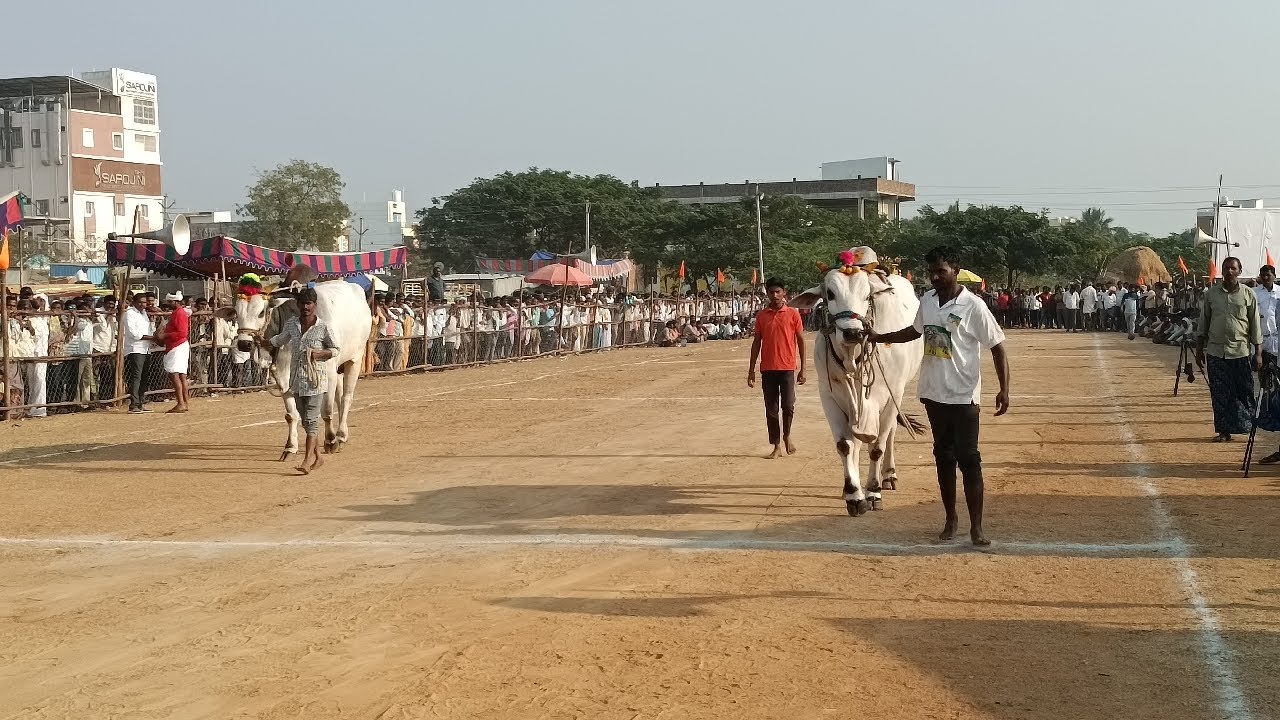 చెలిమిల్ల కిష్టారెడ్డిపేట సీనియర్స్ విభాగం 6వ జత మంగరాయి బాలరాజు
