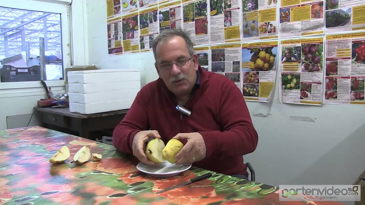 Wie schmeckt die Birne Novembra
