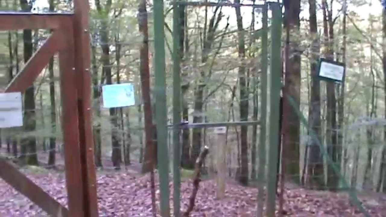 Parc animalier Fougerolles / St Valbert