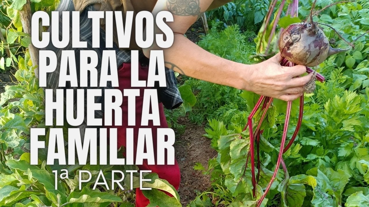 Cultivos para la huerta familiar, primera parte
