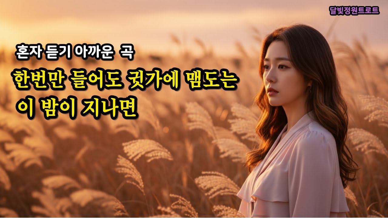 [감성세미트로트/MV]. 다시 들어보니 더 가슴 저미는 노래  | 이 밤이 지나면 외 5곡 메들리 모음