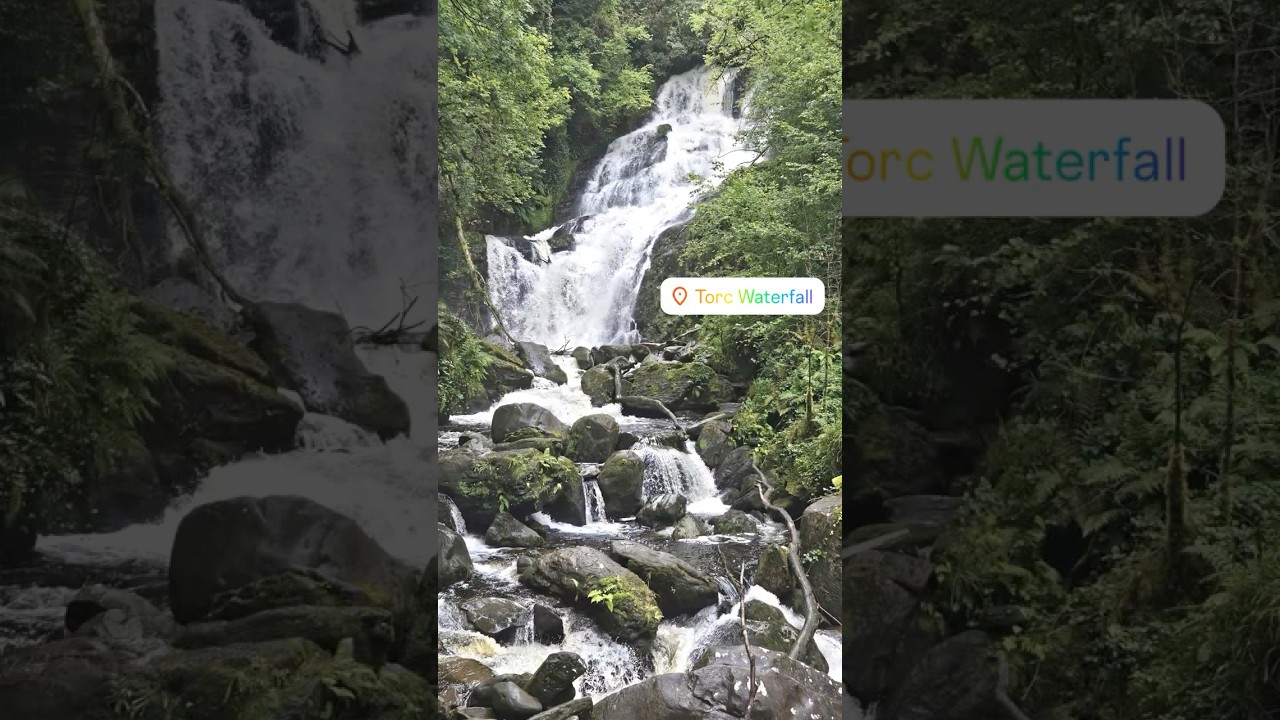 🌿✨ Torc Waterfall, Killarney 🌊Nature&rsquo;s Beauty in Ireland 🇮🇪📍#TorcWaterfall #Killarney #ireland
