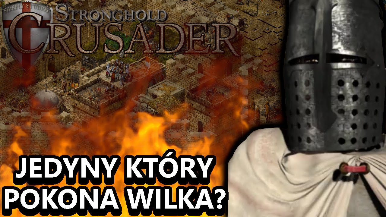 ⚔️Czy WILK może czuć się ZAGROŻONY?🤔