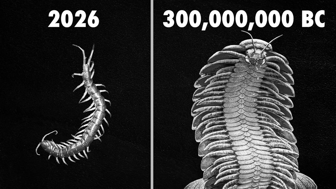Why Evolution abandoned Armor
