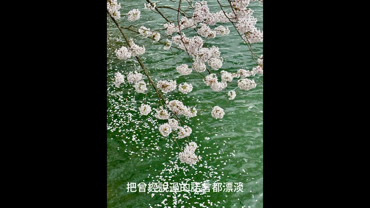 春水的夢鄉