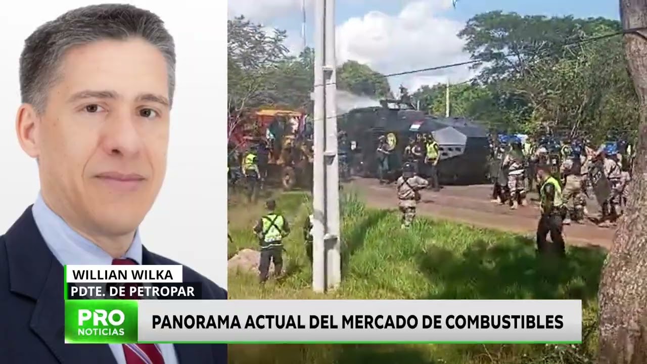 Panorama actual del mercado de combustibles
