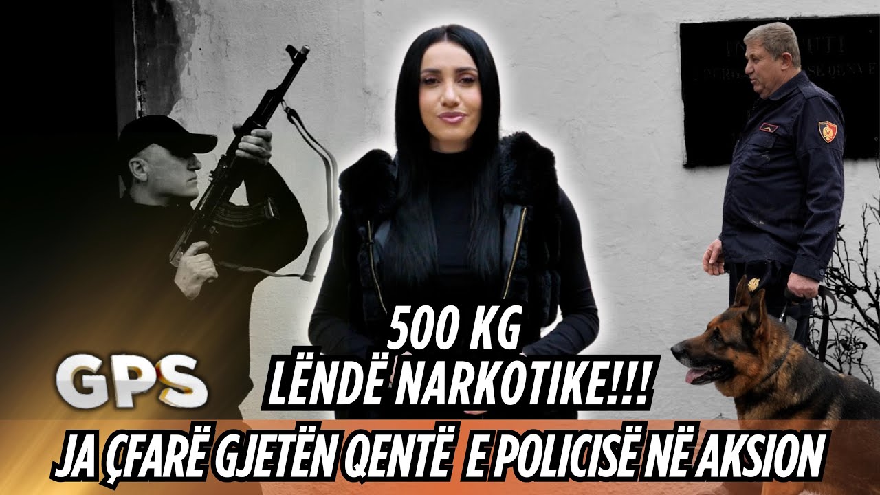 “500 kg lëndë narkotike” ja cfarë kanë gjetur qentë e policisë në një aksion!