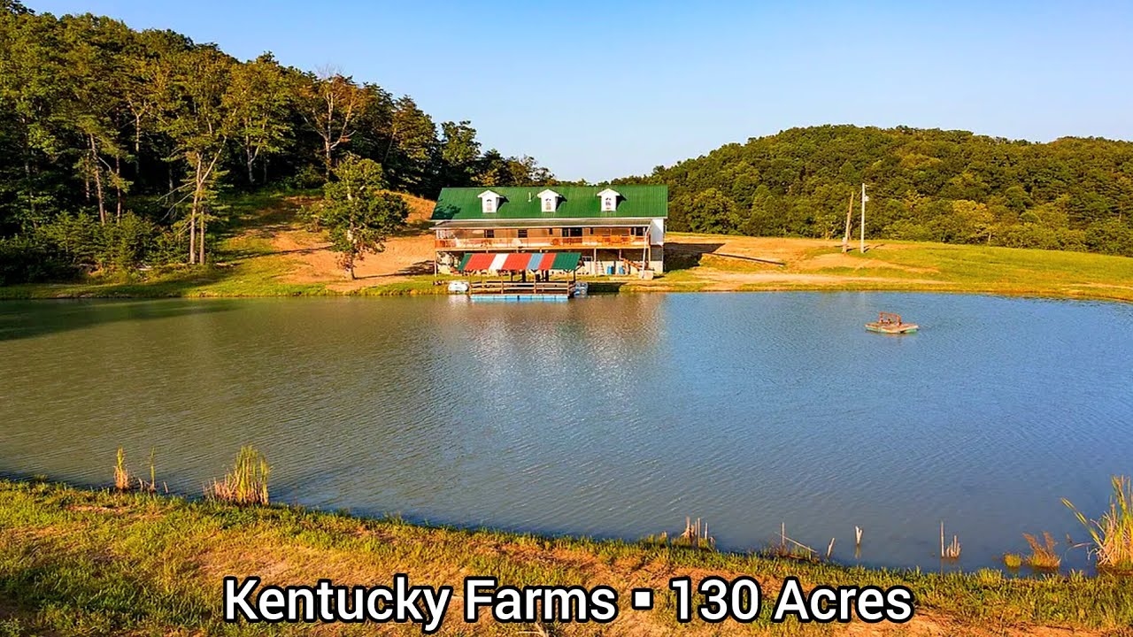 Kentucky Farms For Sale | 130 Acres | Kentucky Land For Sale | Pastures | Working Farms | 1 Ponds