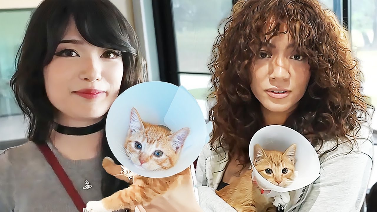 We're Becoming Crazy Cat Ladies...