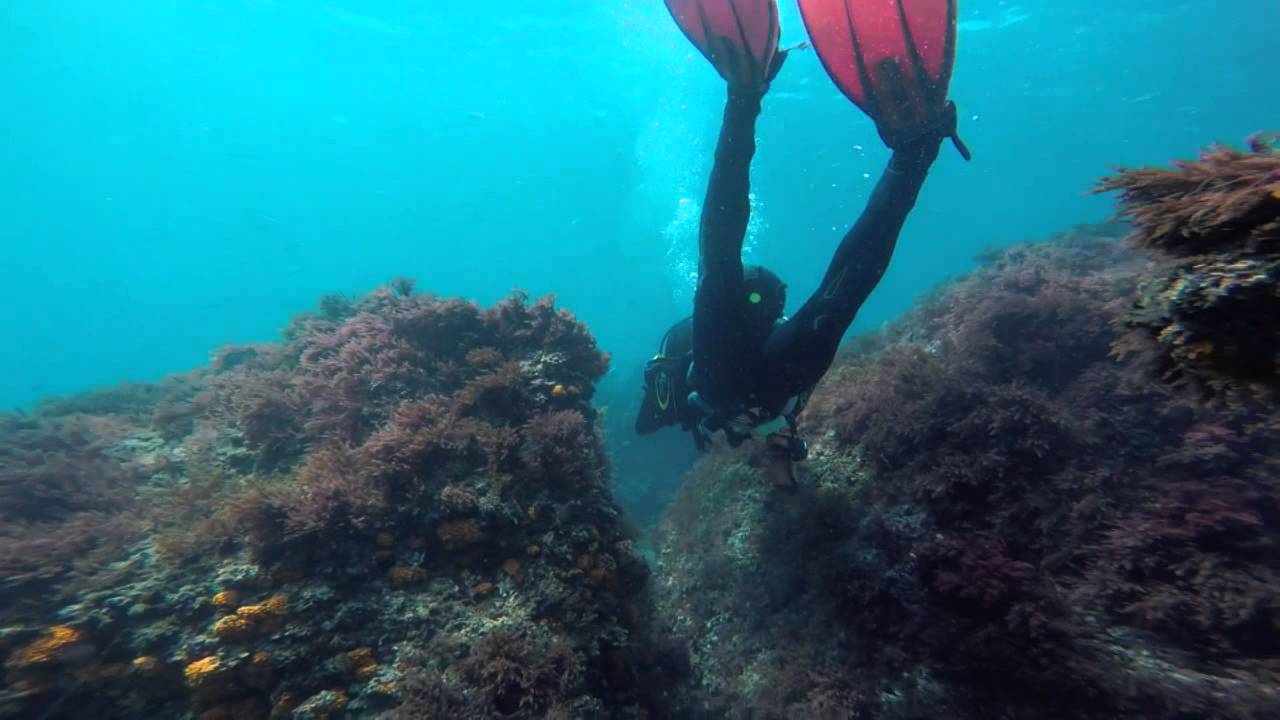 Buceo en Tarifa. Isla de las Palomas