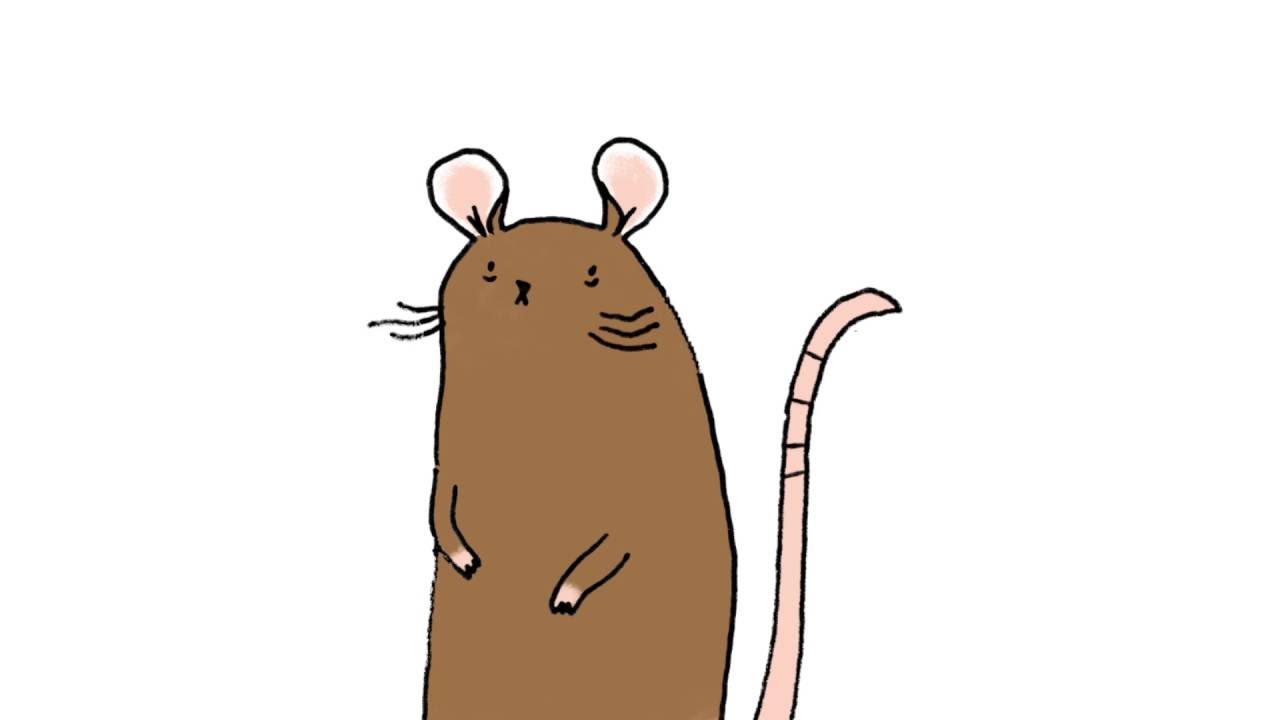 Sad Animals Review Sad Animal Facts