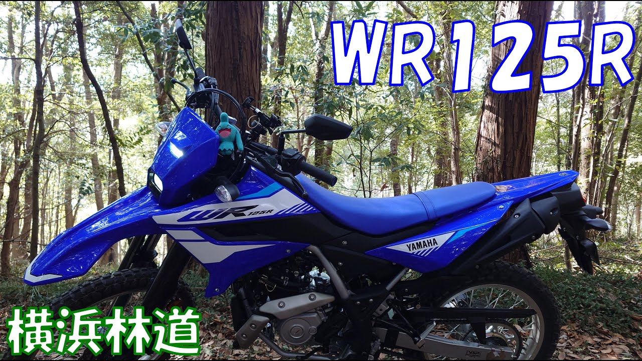 【横浜市緑区 林道】WR125R ヤマハ 2026年モデル
