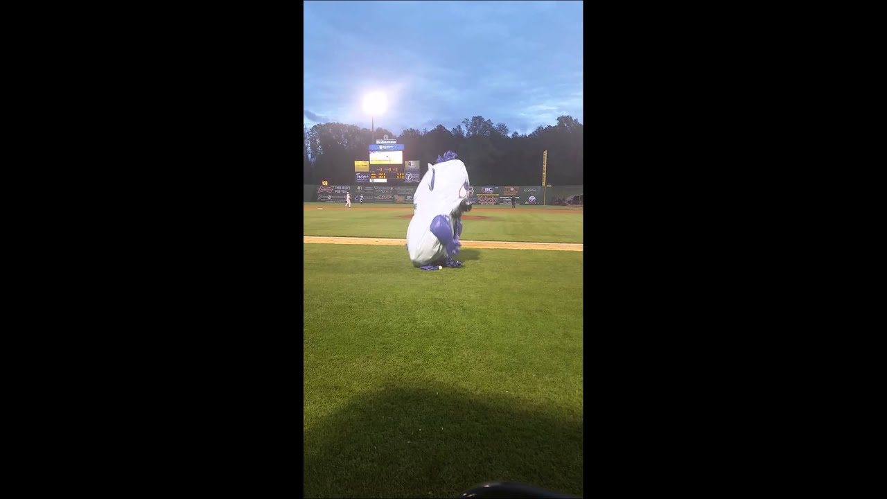 Gavin Ladnier was eaten alive!