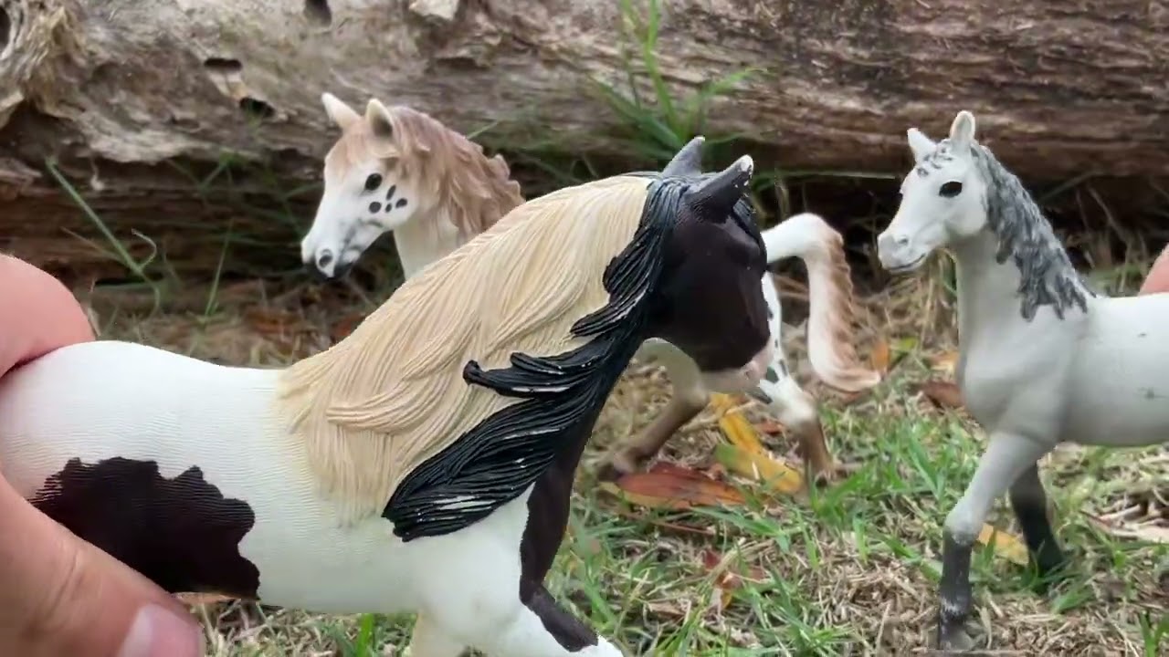 Part 2 of 3 horses 1 Centaur and 1 Wolf.