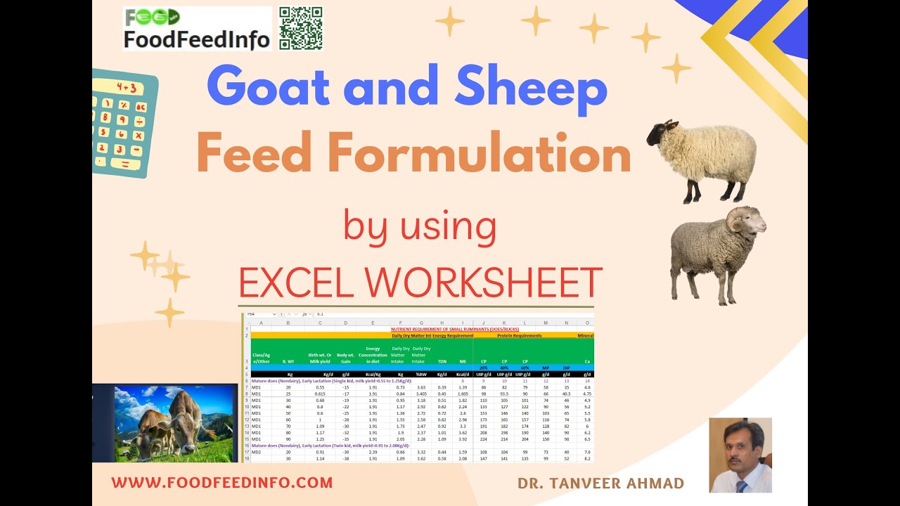 Excel Sheet for TMR Preparation for Goats (Intro only)