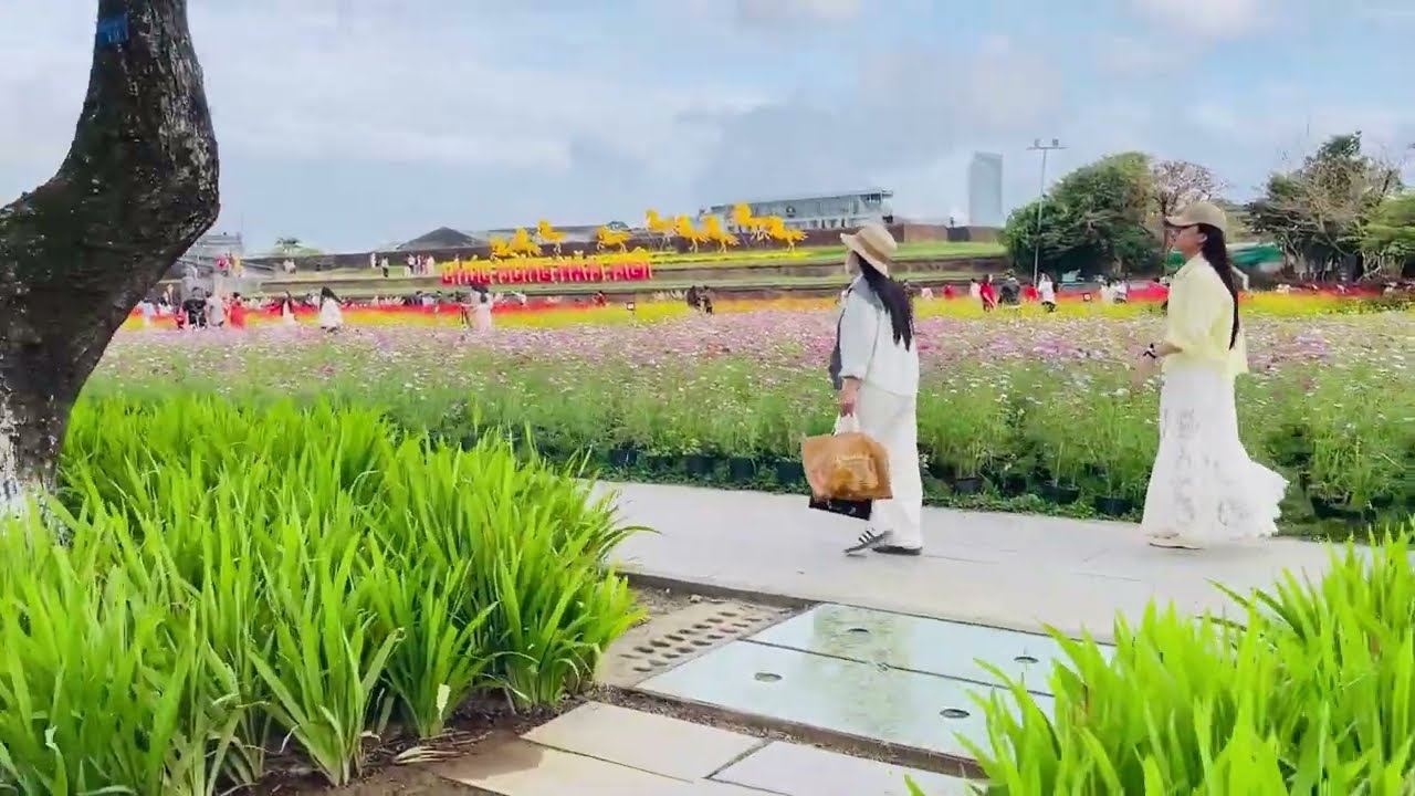 Kinh thành Huế xuân 2026