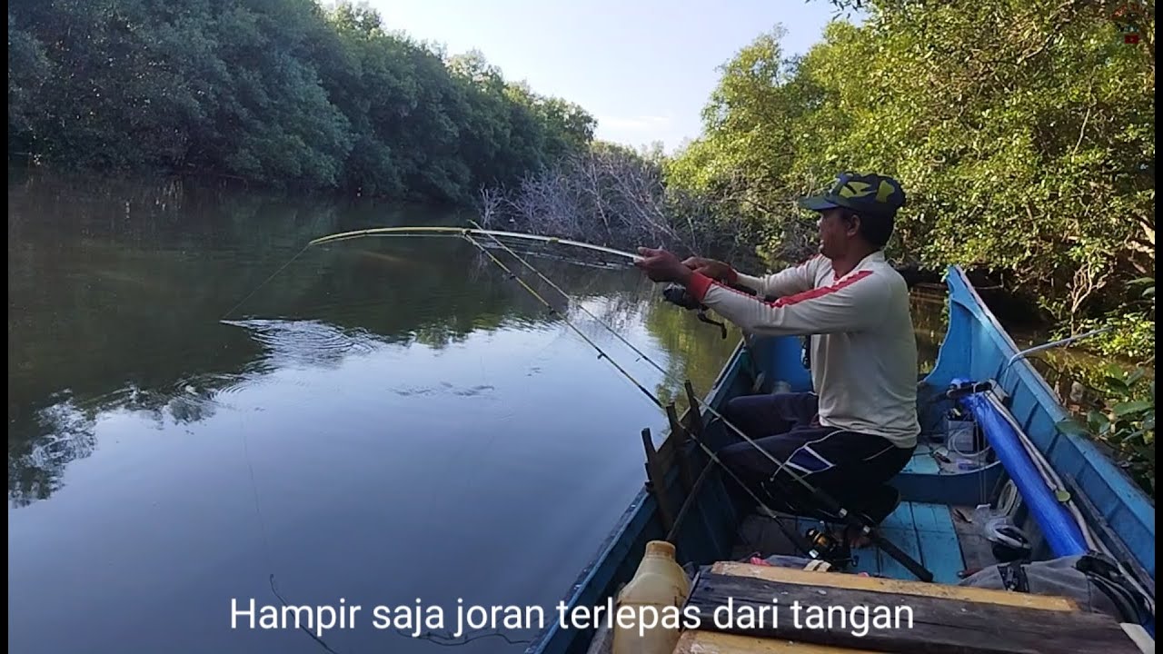 Diawali dengan perlawanan super kuat,hasil pun melimpah mancing hari ini