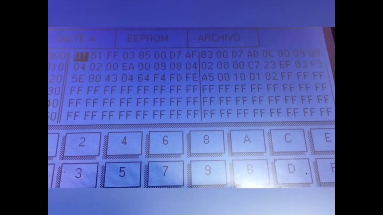 Digiprog Español eeprom basicos