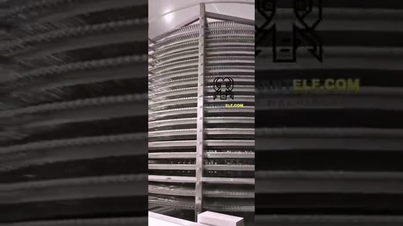 Vídeo de funcionamiento de la fábrica de congeladores en espiral IQF