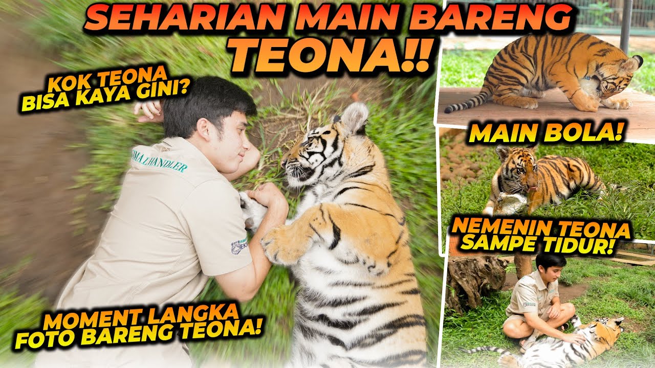 ALSHAD MENGUBAH TEONA MENJADI SEPERTI SELEN ?! KOK BISA ?! DARI YANG BARBAR SAMPE JADI KALEM !