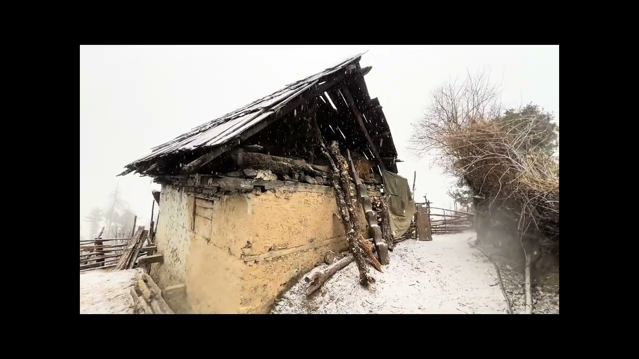 Surviving Shepherd Life in One Of The Coldest Regions Of Nepal |A Snowy Freezing Winter village 