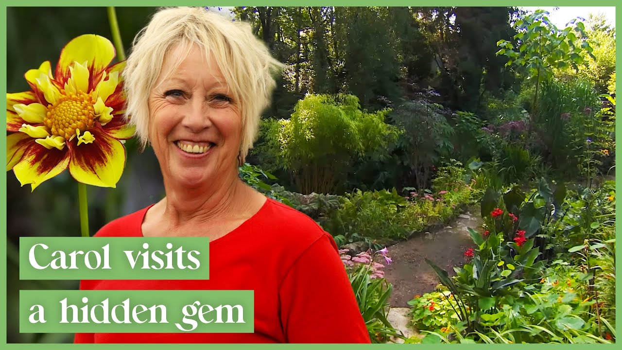 Visiting A Tropical Garden In An Unexpected Space! | Gardener's World