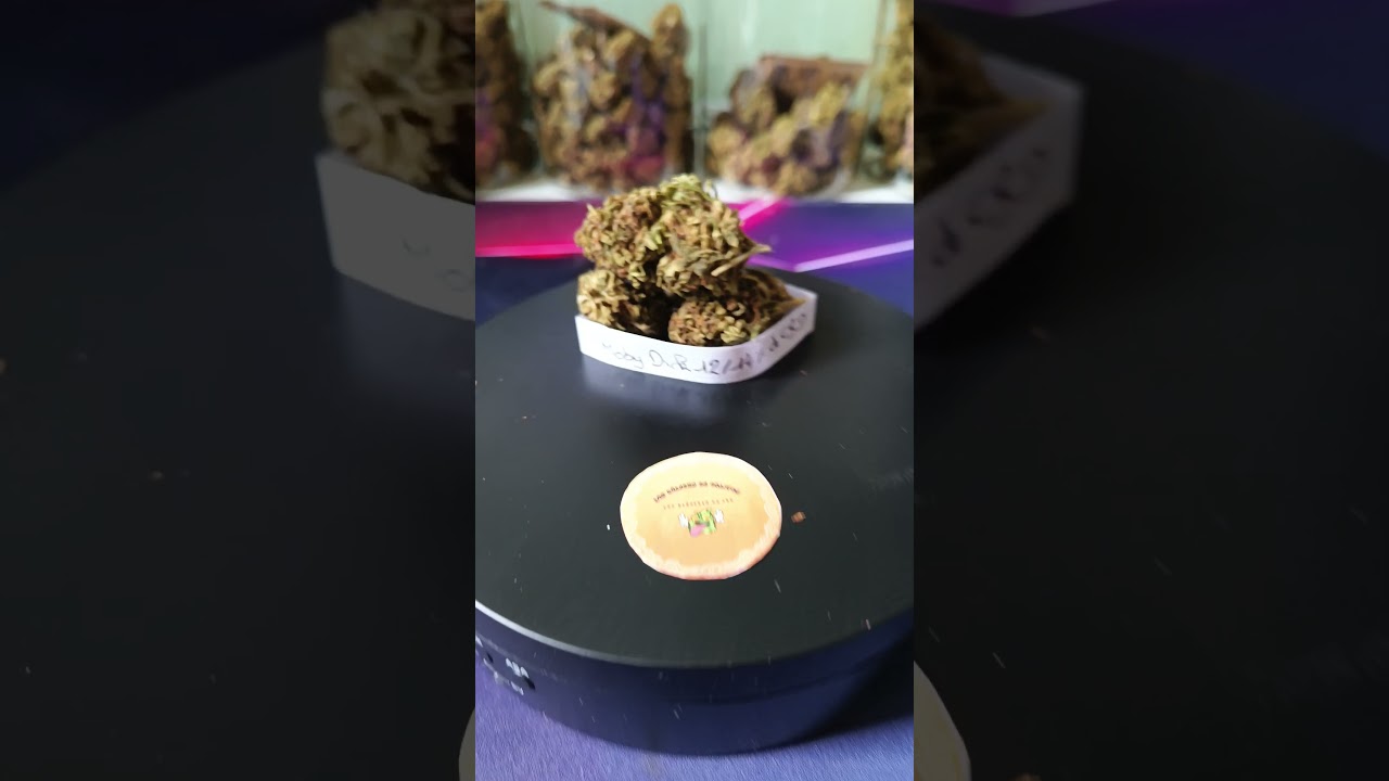 Moby Dick CBD 12/14%