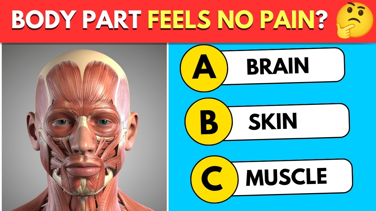 🧠 Can You Pass This Human Body Quiz 🧍 General Knowledge Quiz