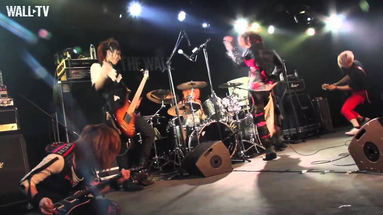 WALL TV 華麗的夢想家 DaizyStripper