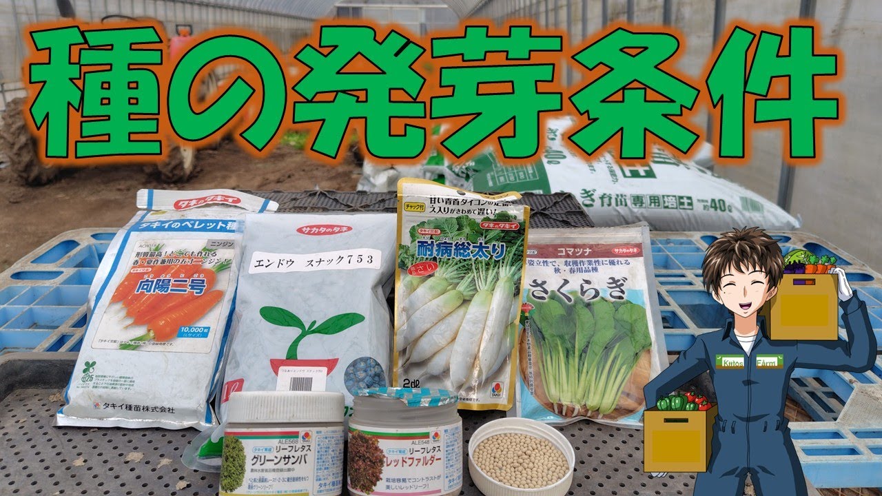 【種の発芽条件】種も高くなっているので無駄にしないようにしないと。