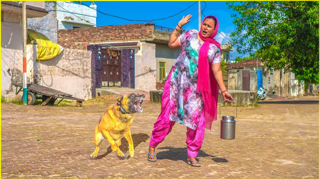 ਕੁੱਤੇ ਦੀ ਵੱਡੀ ਜਨਾਨੀ 😂😂😂 Kute Di Vaddi Janani | New Comedy Video 2022