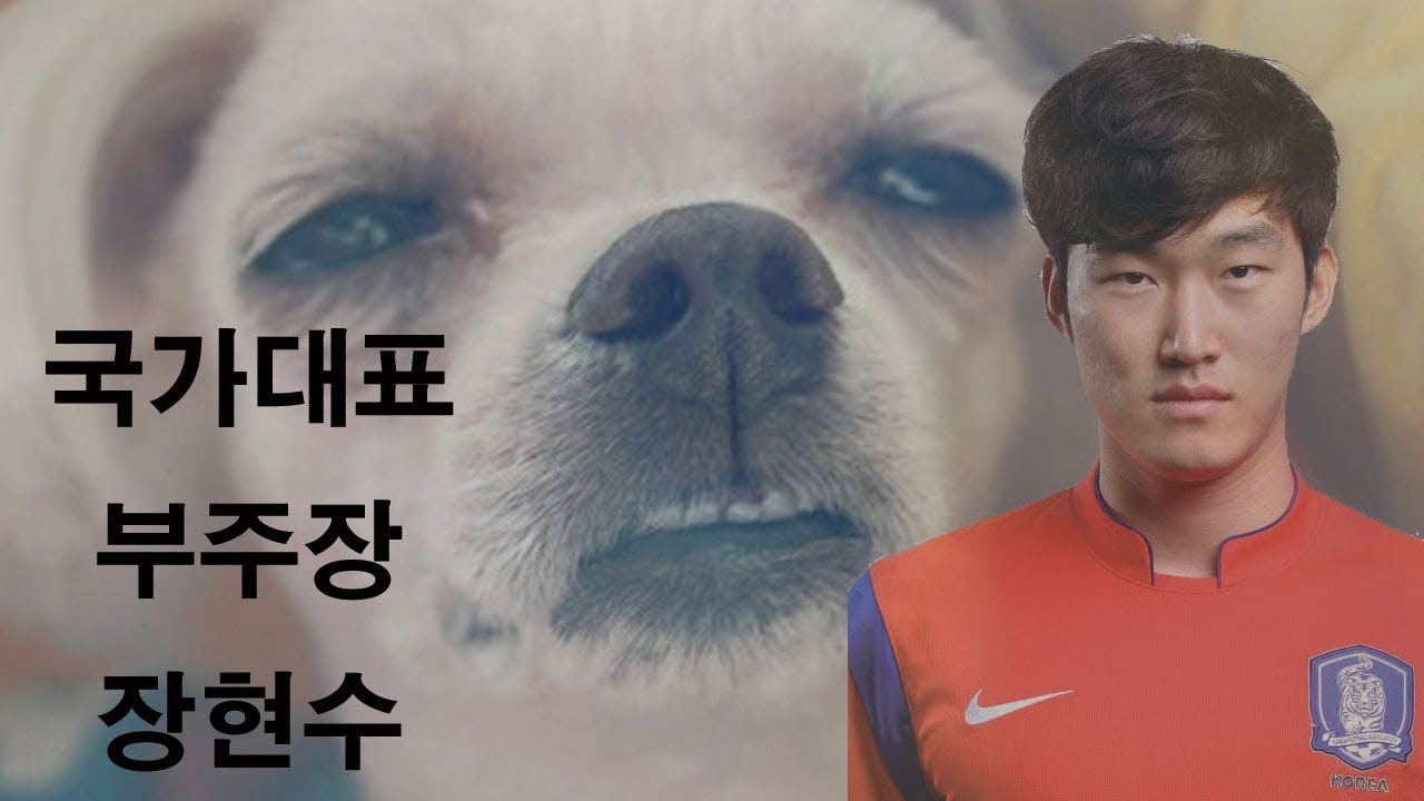 국가대표 부주장 장현수 스페셜