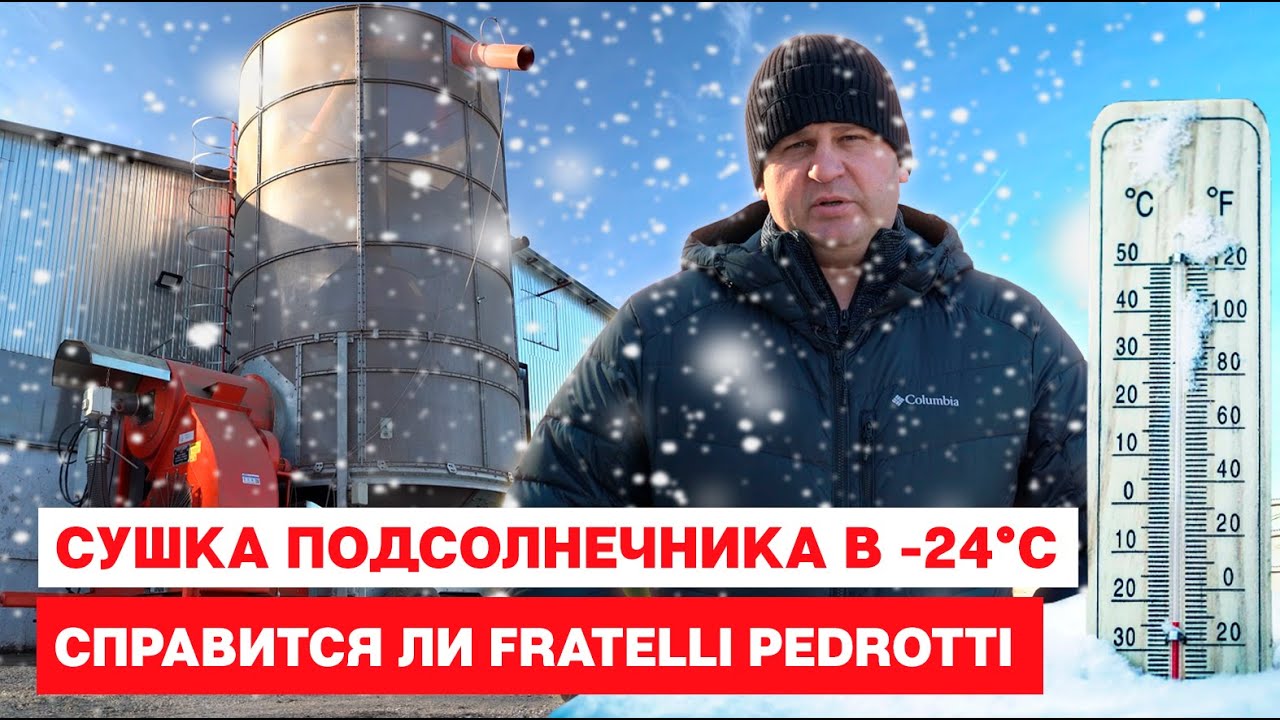 Сушка подсолнечника в -24°С.  Справится ли Fratelli Pedrotti?