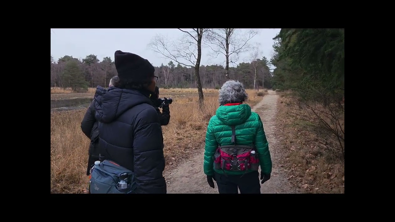 Wandelen bij stroe Harskamp 27 december 2025