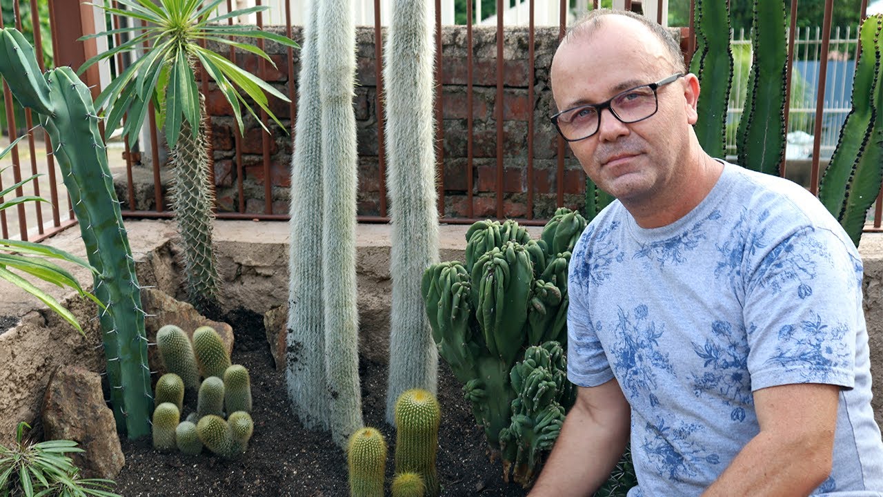 JARDIM de CACTOS.  #SOLPLENO
