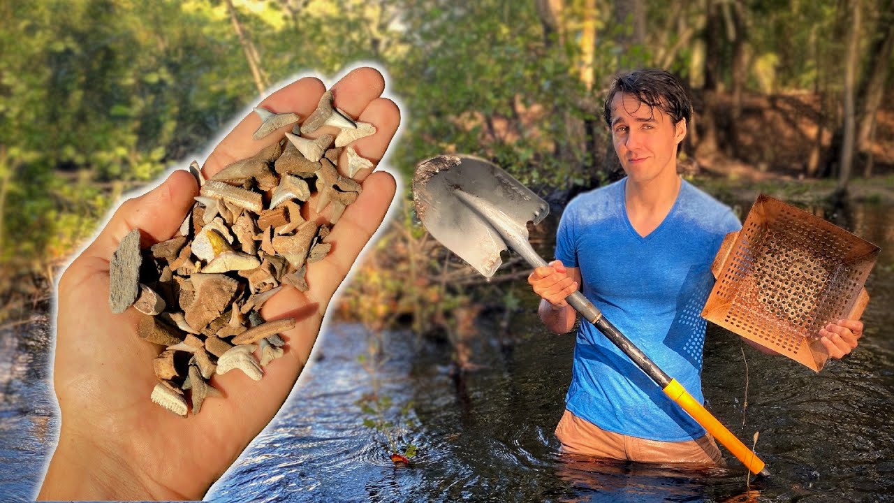 Shark Tooth Hunting in a Florida Creek | Digging and Sifting to Find Fossils | PaleoCris