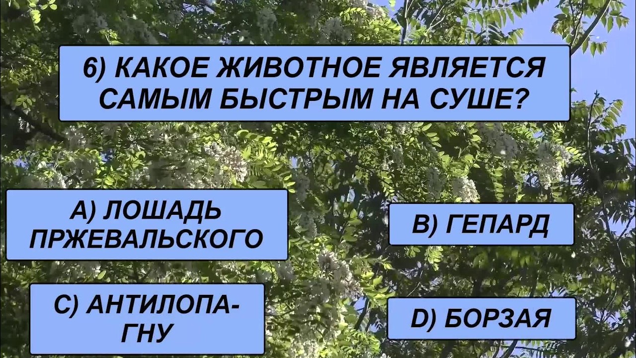 ЭРУДИТ XXI века — ЭТО ВЫ? Пройдите тест чтобы узнать, какая у вас эрудиция!