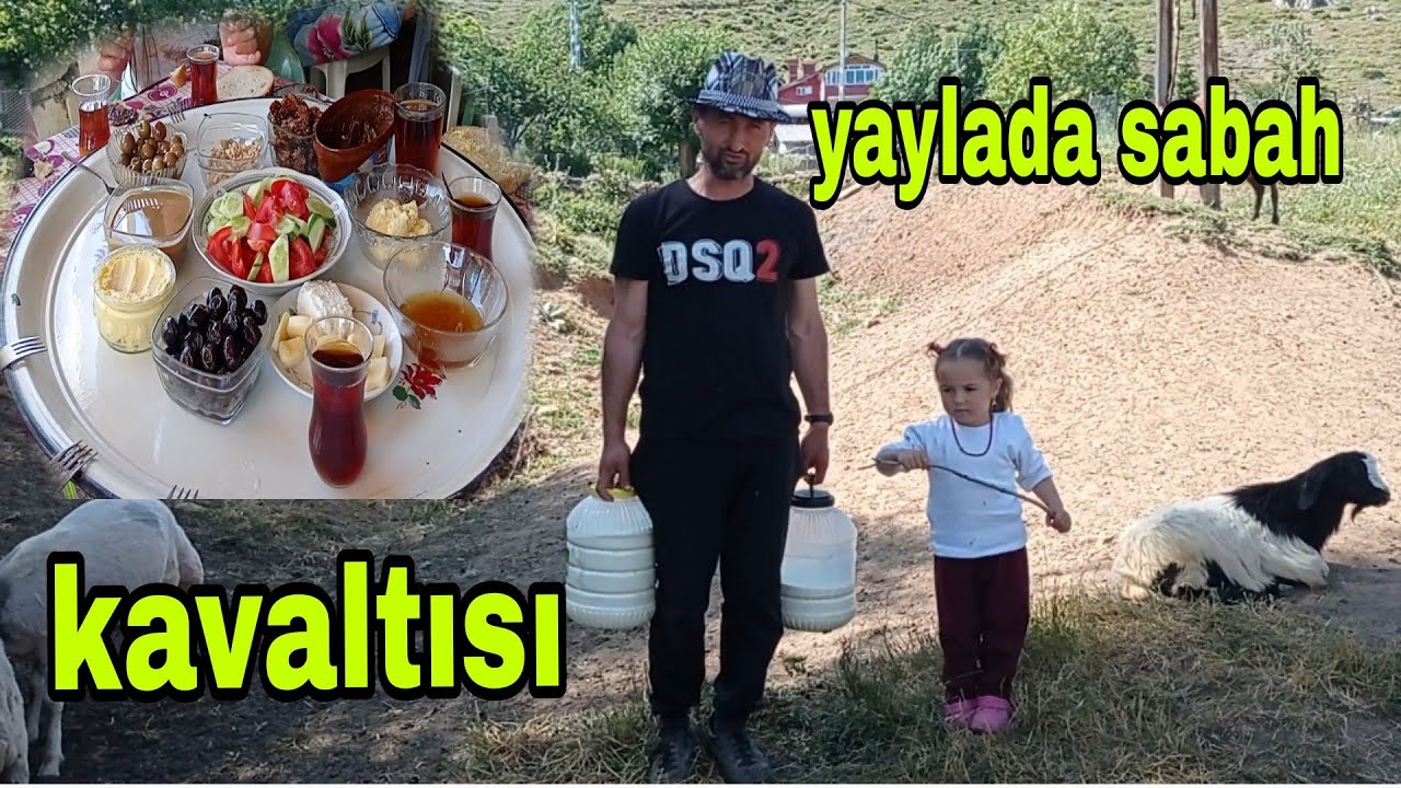 Koyunlardan Süt Sagdık Yaylada Ateşte Patetes Kızartması VE ÇAY