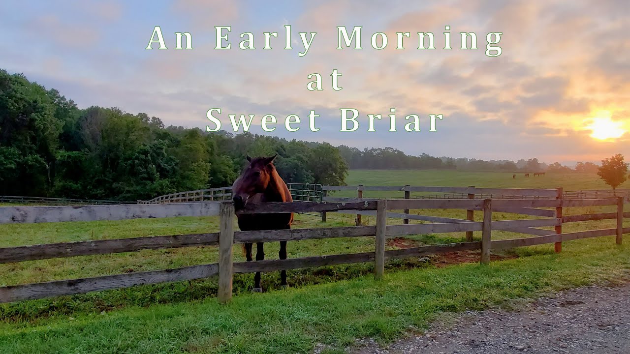 [E11] An Early Morning at Sweet Briar