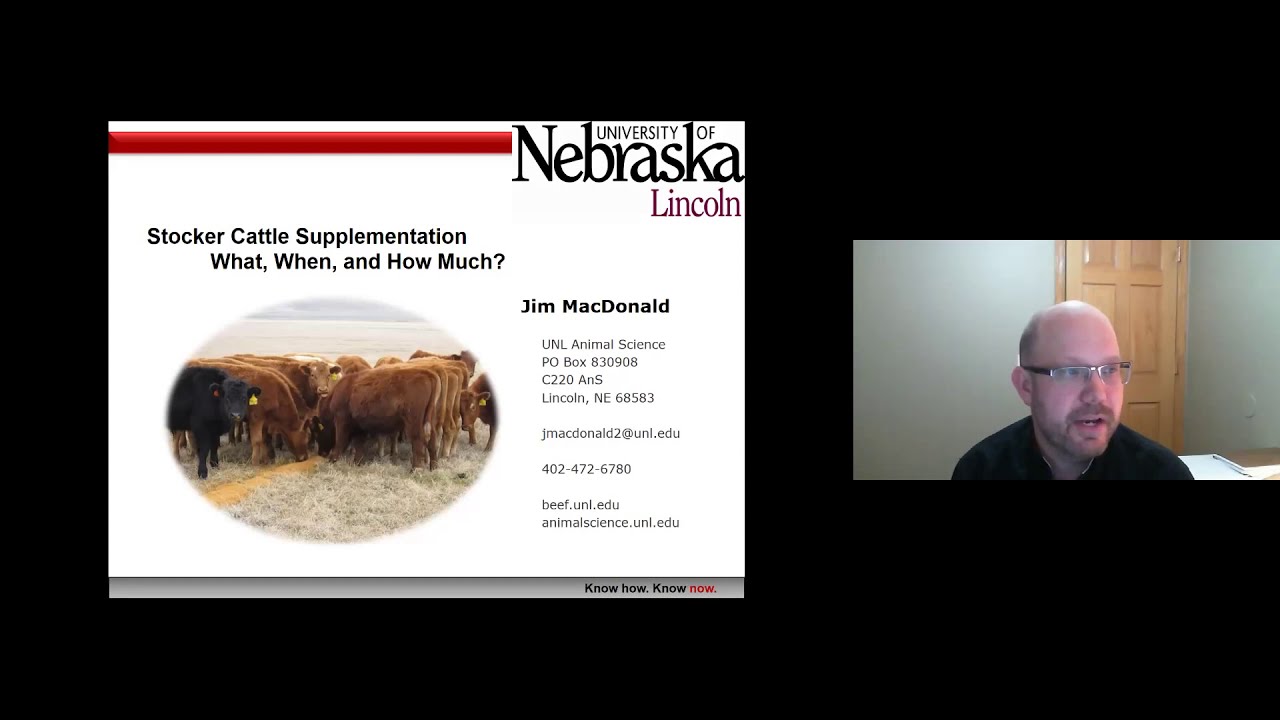 Supplementing Stocker Cattle: Highlights from UNL Research
