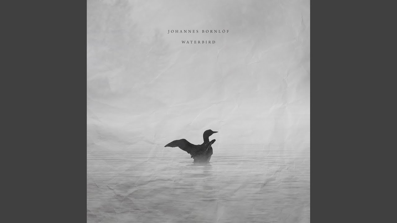 Waterbird