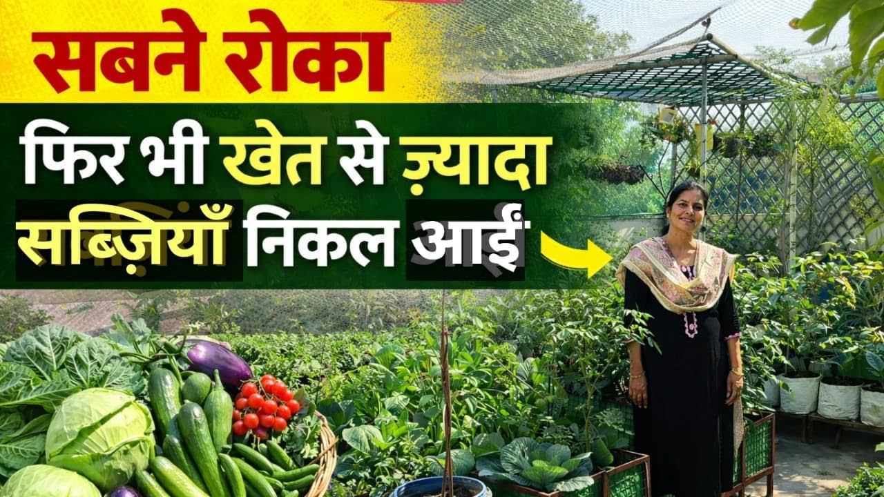 सबने कहा जितना खाना है उतनी सब्ज़ी उगा मैंने खेत से ज़्यादा उगा दी