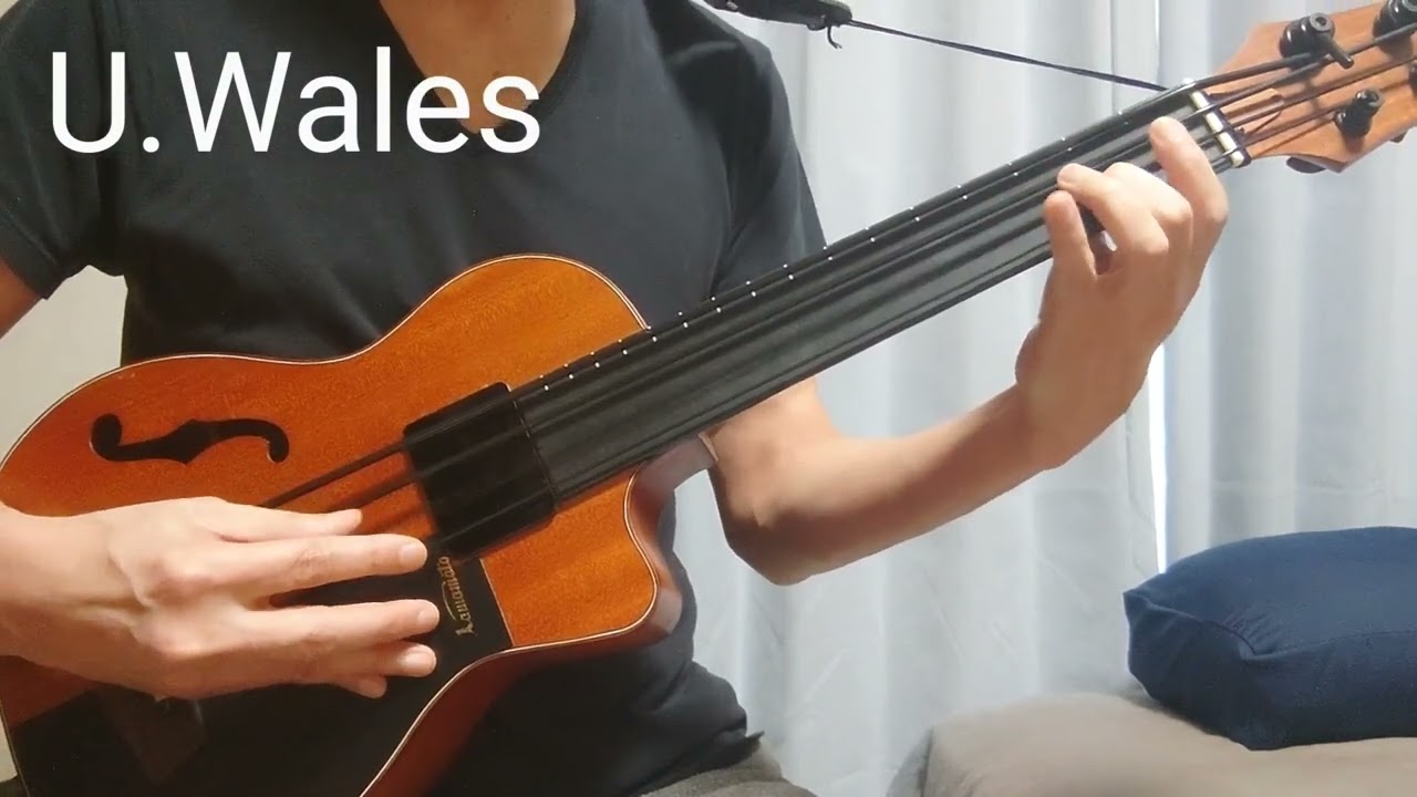 Ukulele Wales Riff / Batking Fletless Ukulele Bass
