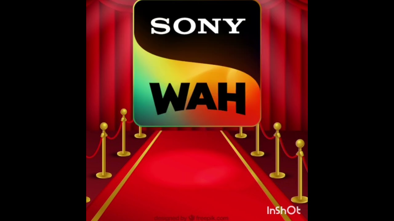 ESTABLISHMENT OF TELEVISION CHANNELS IN INDIA