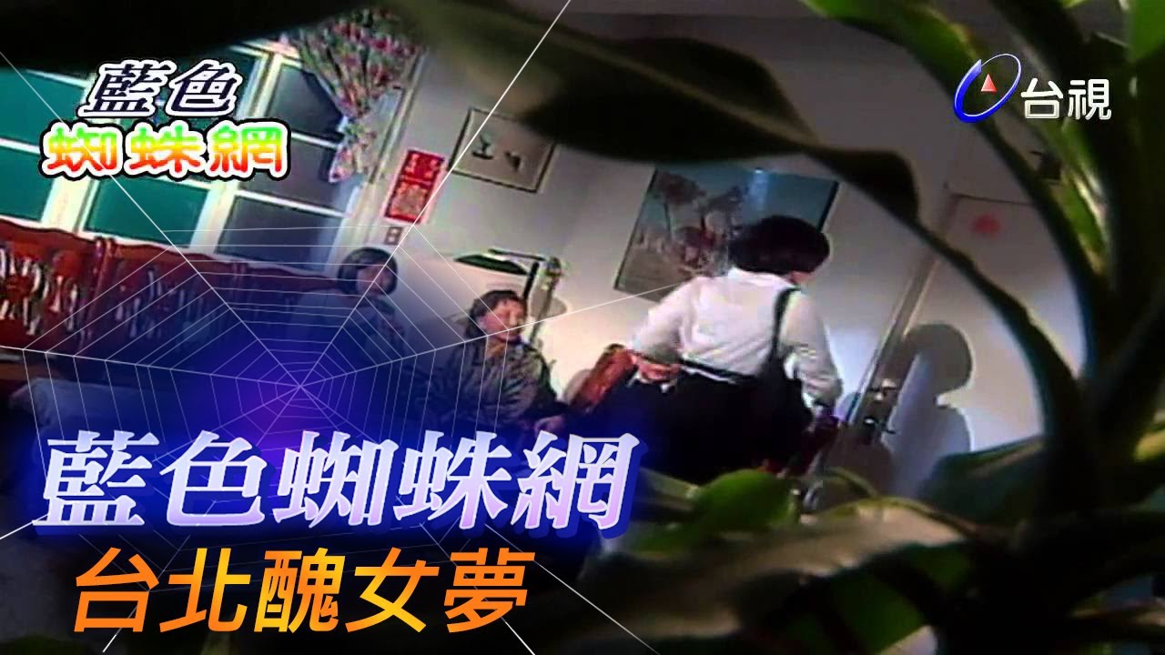 藍色蜘蛛網 第 23 集 台北醜女夢
