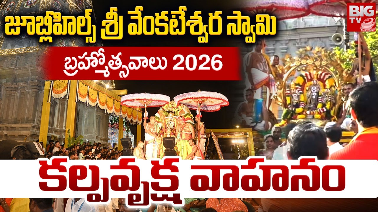 జూబ్లీహిల్స్ శ్రీ వేంకటేశ్వర స్వామి బ్రహ్మోత్సవాలు 2026 కల్పవృక్ష వాహనం | Jubilee Hills TTD | BIG TV