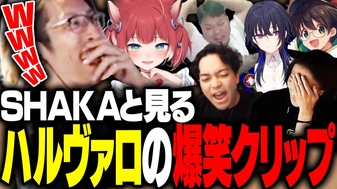 ハルヴァロの爆笑クリップを見るSHAKA【VALORANT】
