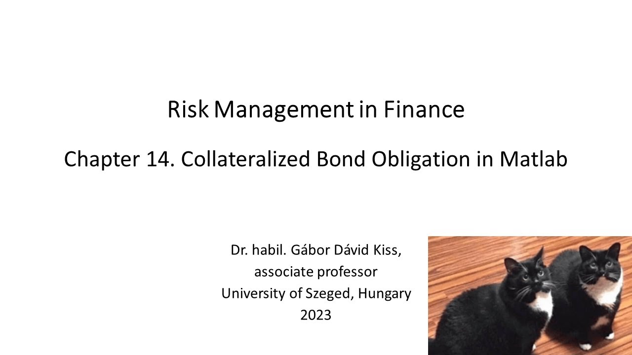 Risk Management in Finance: 17. Collateralized Bond Obligation in Matlab